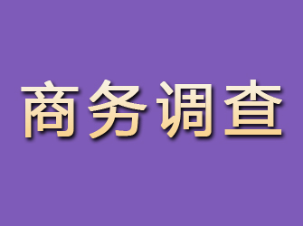 陇县商务调查